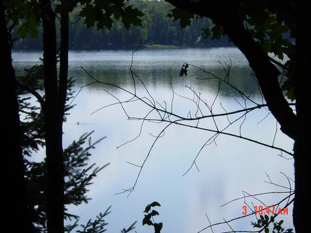Lot 34 East Musket Road Presque Isle, WI 54557 - Photo 6 of 7 Gallery Image 6