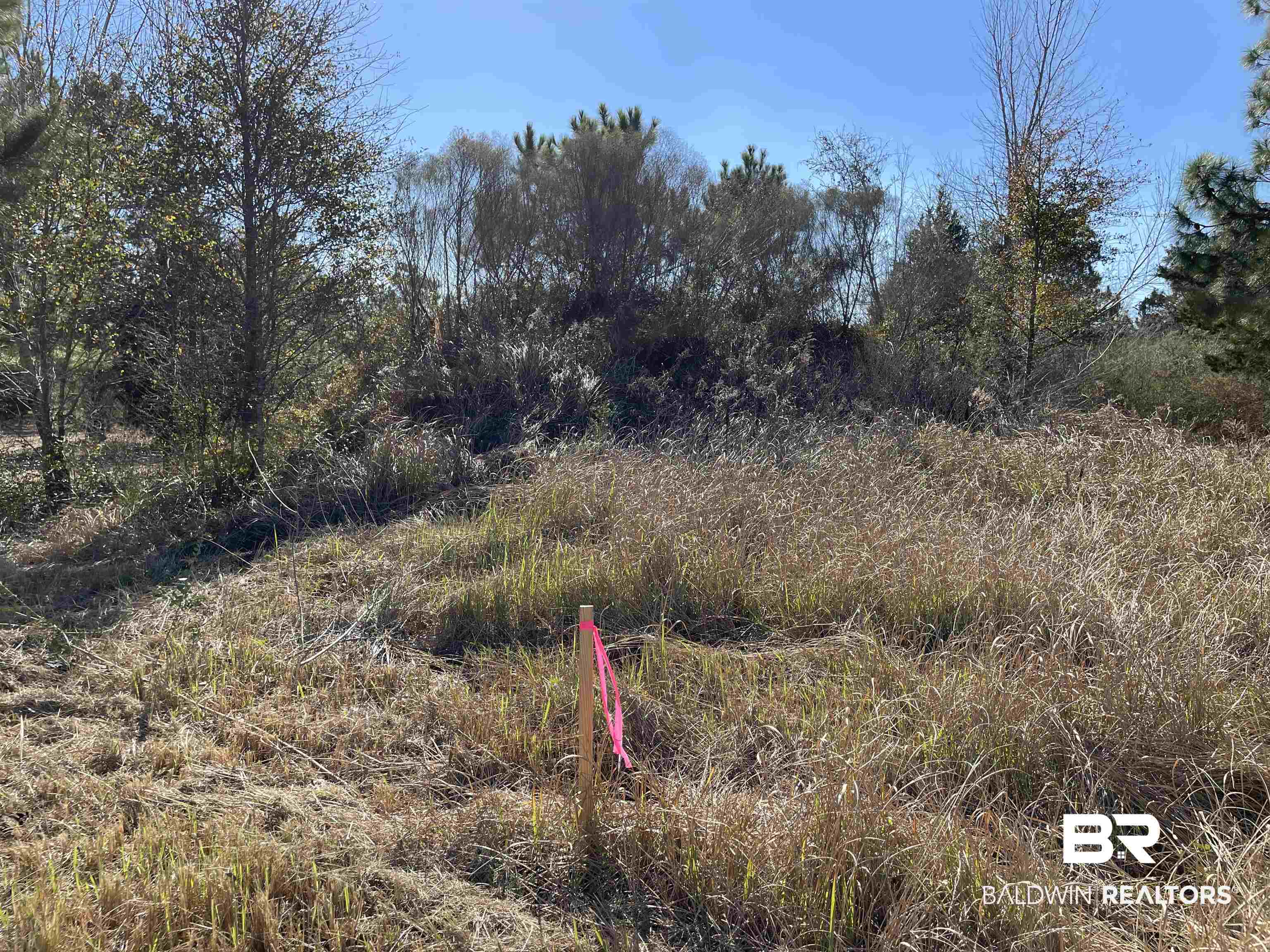 0 Makaira Drive Foley, AL 36535 - Photo 10 of 33