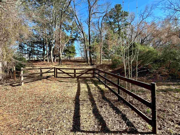 a view of a field with an ocean