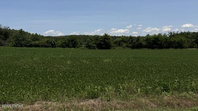0 Westport Road Huntingdon, TN 38344 - Photo 16 of 58 IMG_8965