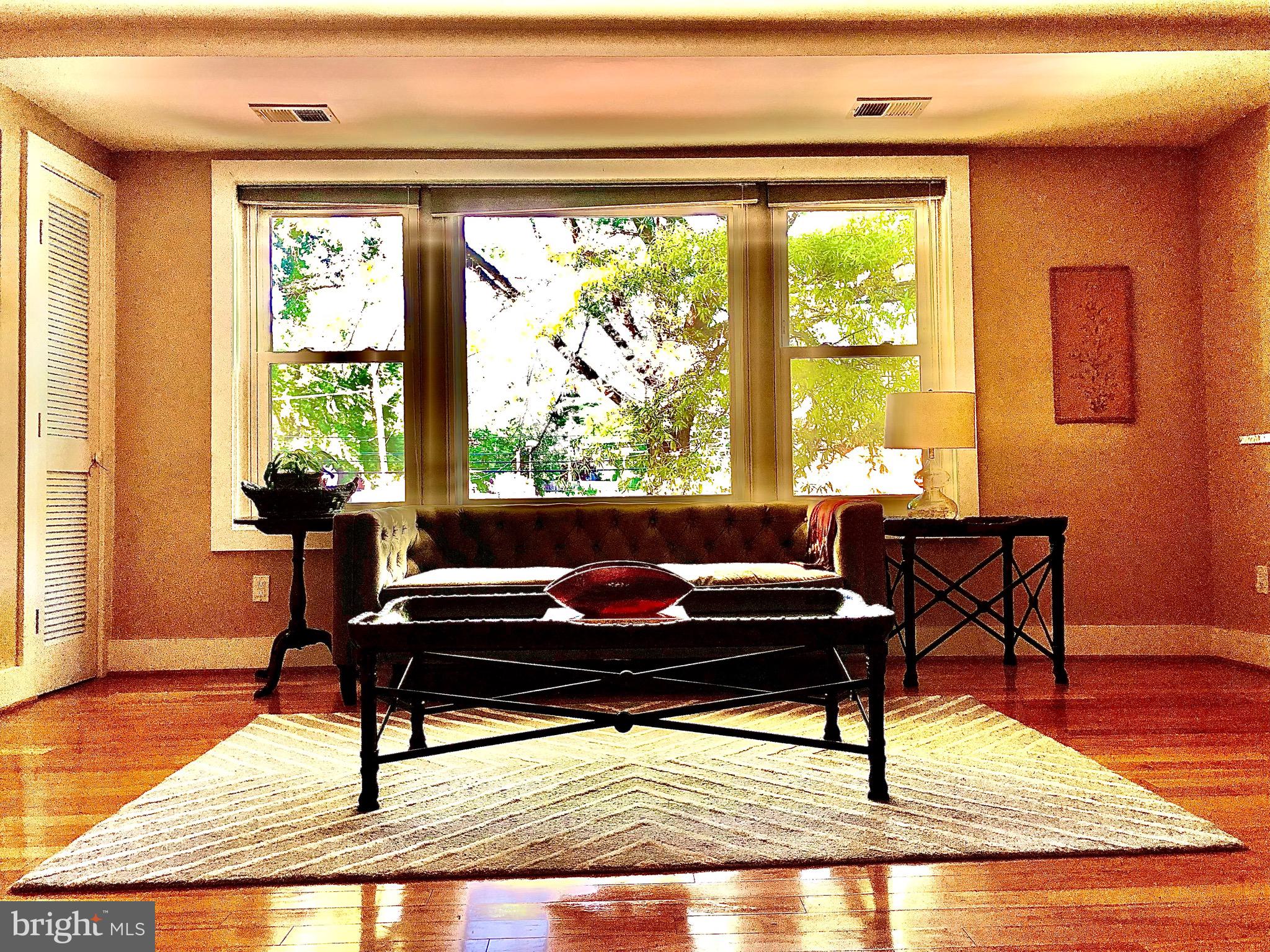 4840 MacArthur Boulevard Northwest, Unit 501 Washington, DC 20007 - Photo 4 of 24 a living room with a couch coffee table and a potted plant with wooden floor