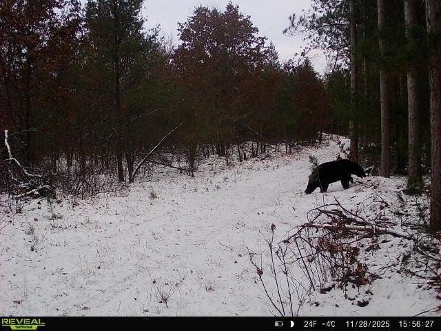 E20244 Cty Road Augusta, WI 54722 - Photo 27 of 27