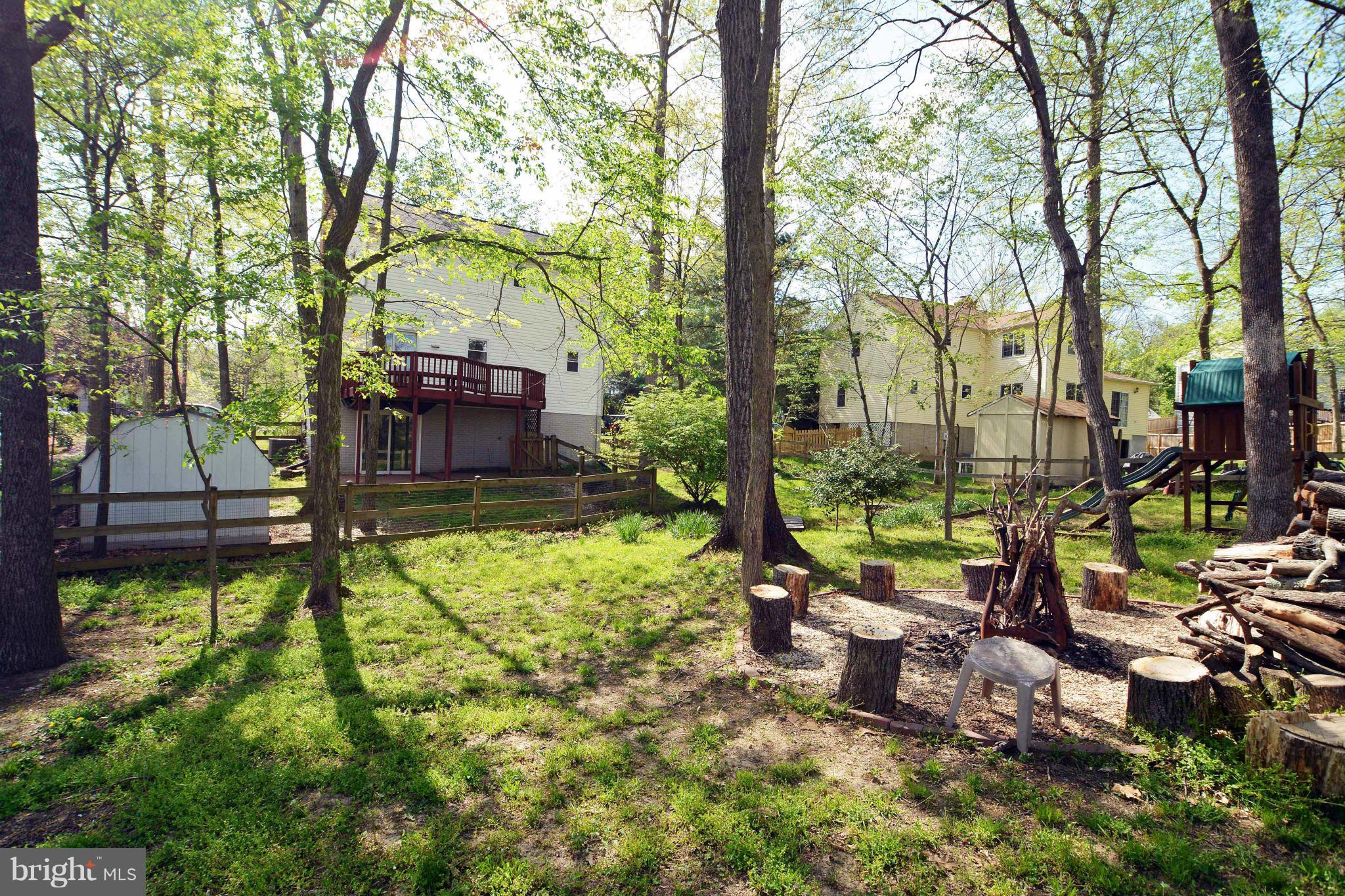 4533 Samuels Pine Road Chantilly, VA 20151 - Photo 4 of 29 YARD 2