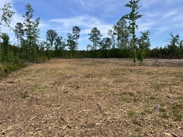 $122,000 | 71 Herndon Street, Unit TRACT B6, Walterboro, SC 29488