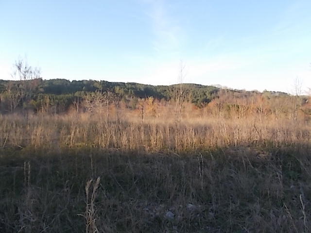 Lot 8-9 Cohutta Varnell Road Cohutta, GA 30710 - Photo 1 of 13 DSCN8628