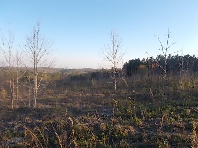 Lot 8-9 Cohutta Varnell Road Cohutta, GA 30710 - Photo 4 of 13 DSCN8624