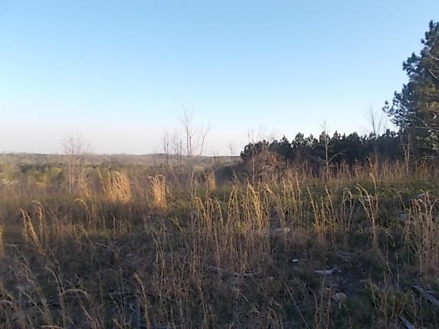 Lot 8-9 Cohutta Varnell Road Cohutta, GA 30710 - Photo 6 of 13 DSCN8626