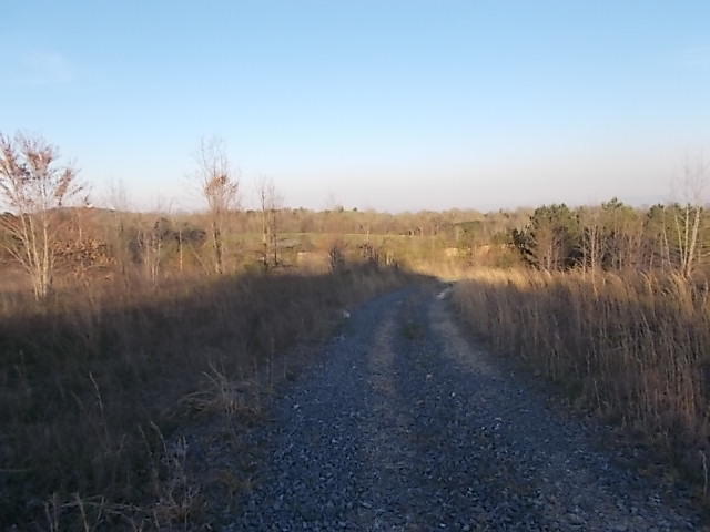 Lot 8-9 Cohutta Varnell Road Cohutta, GA 30710 - Photo 8 of 13 DSCN8629