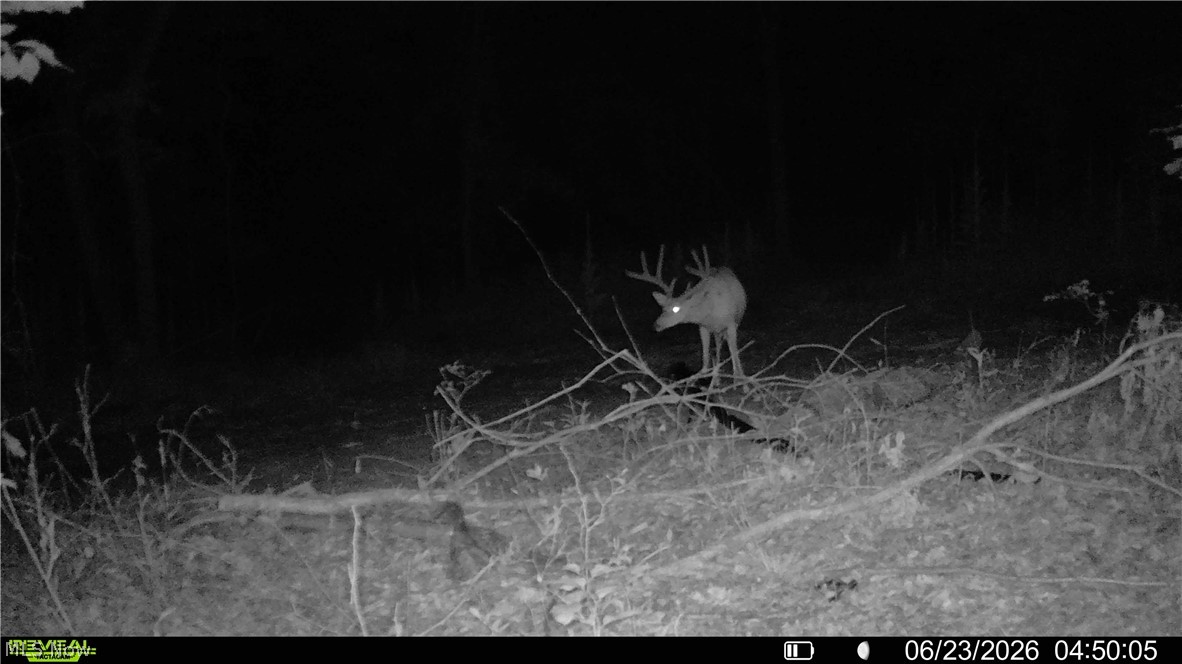 Hill Road Portsmouth, OH 45662 - Photo 21 of 47