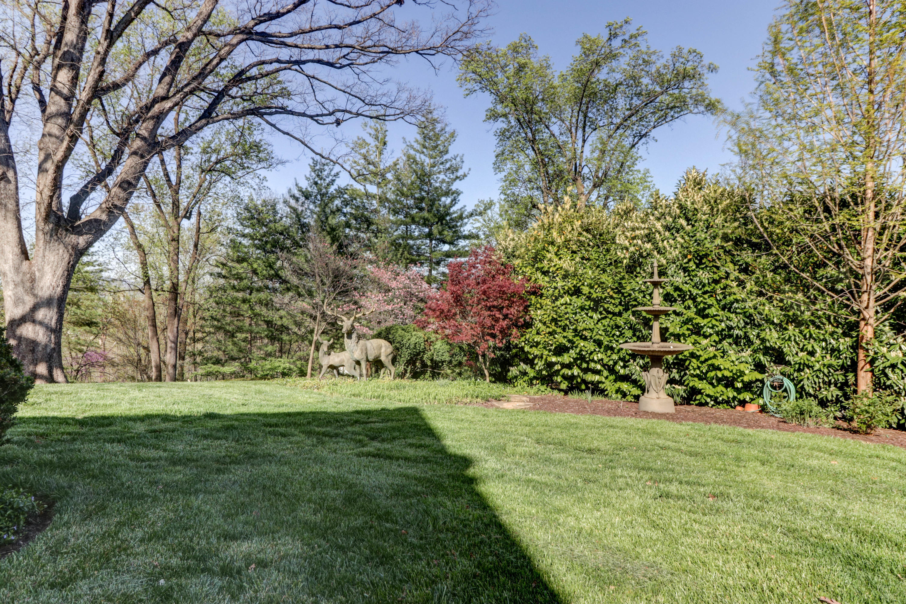 836 Wildwood Road Southwest Roanoke, VA 24014 - Photo 16 of 41 IMG_0322_3_4_5_6