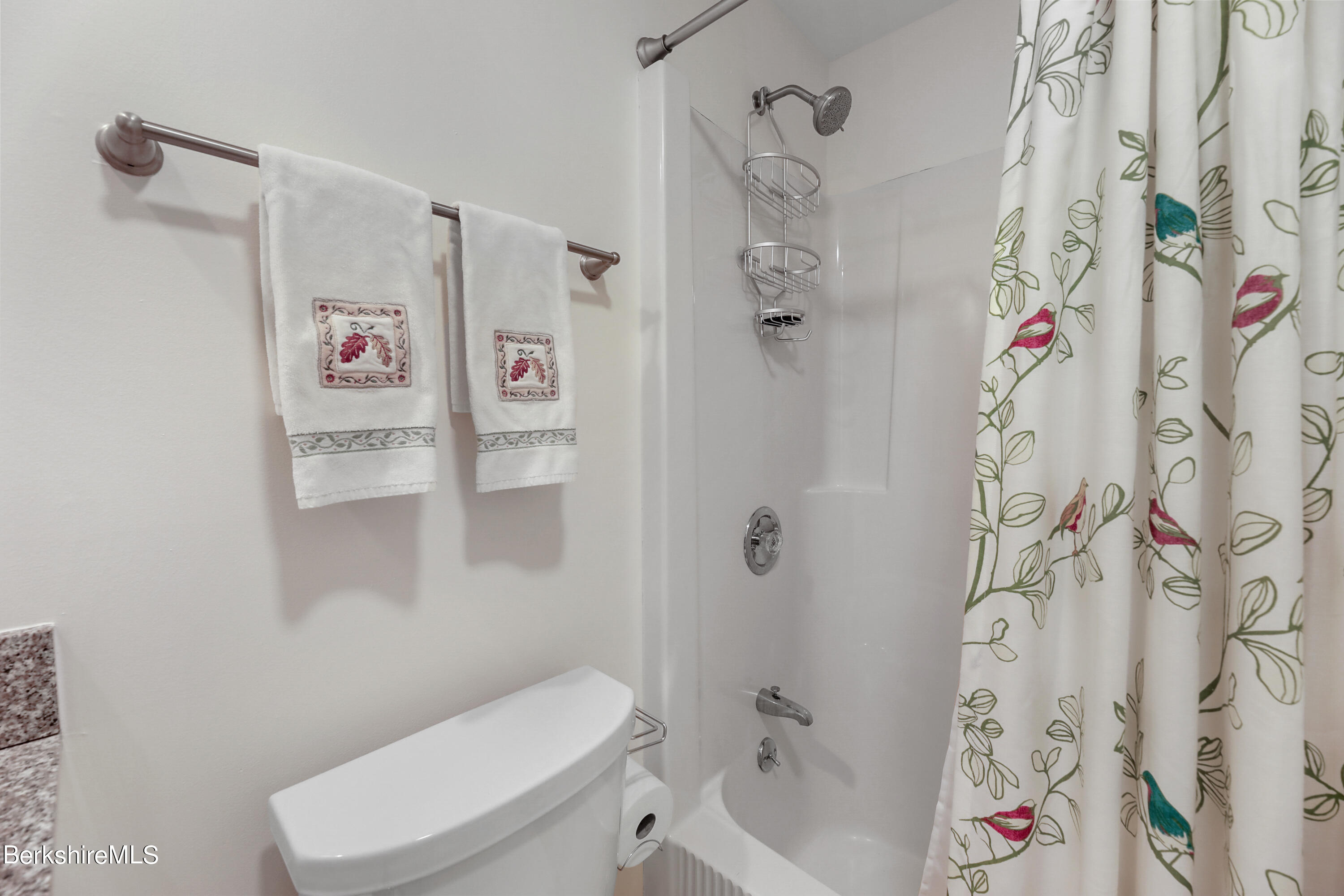 38 Rowe Road Egremont, MA 01230 - Photo 29 of 42 Full Bath