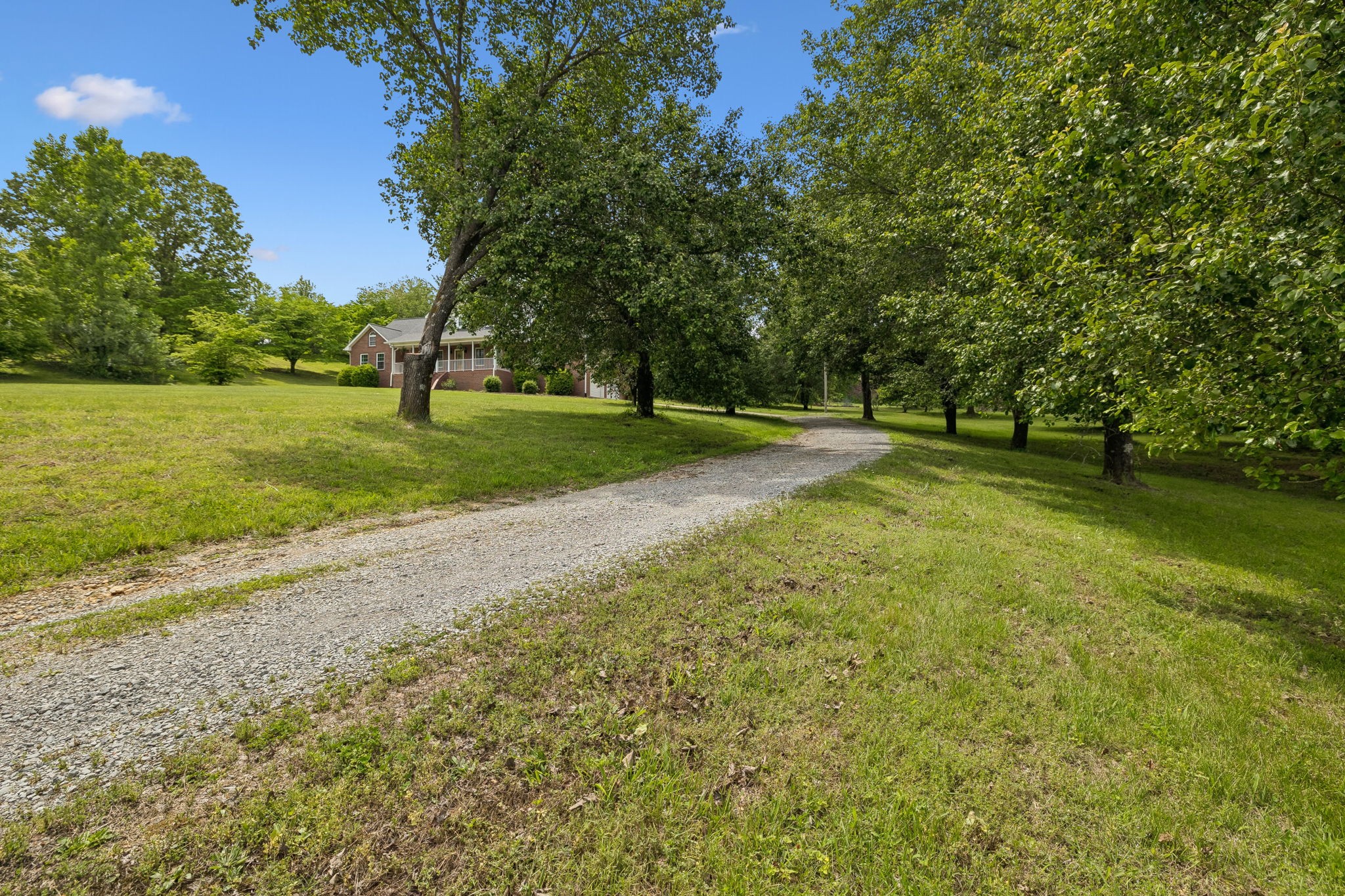 1915 Greenwood Road Charlotte, TN 37036 - Photo 2 of 60 a view of a tree in a yard