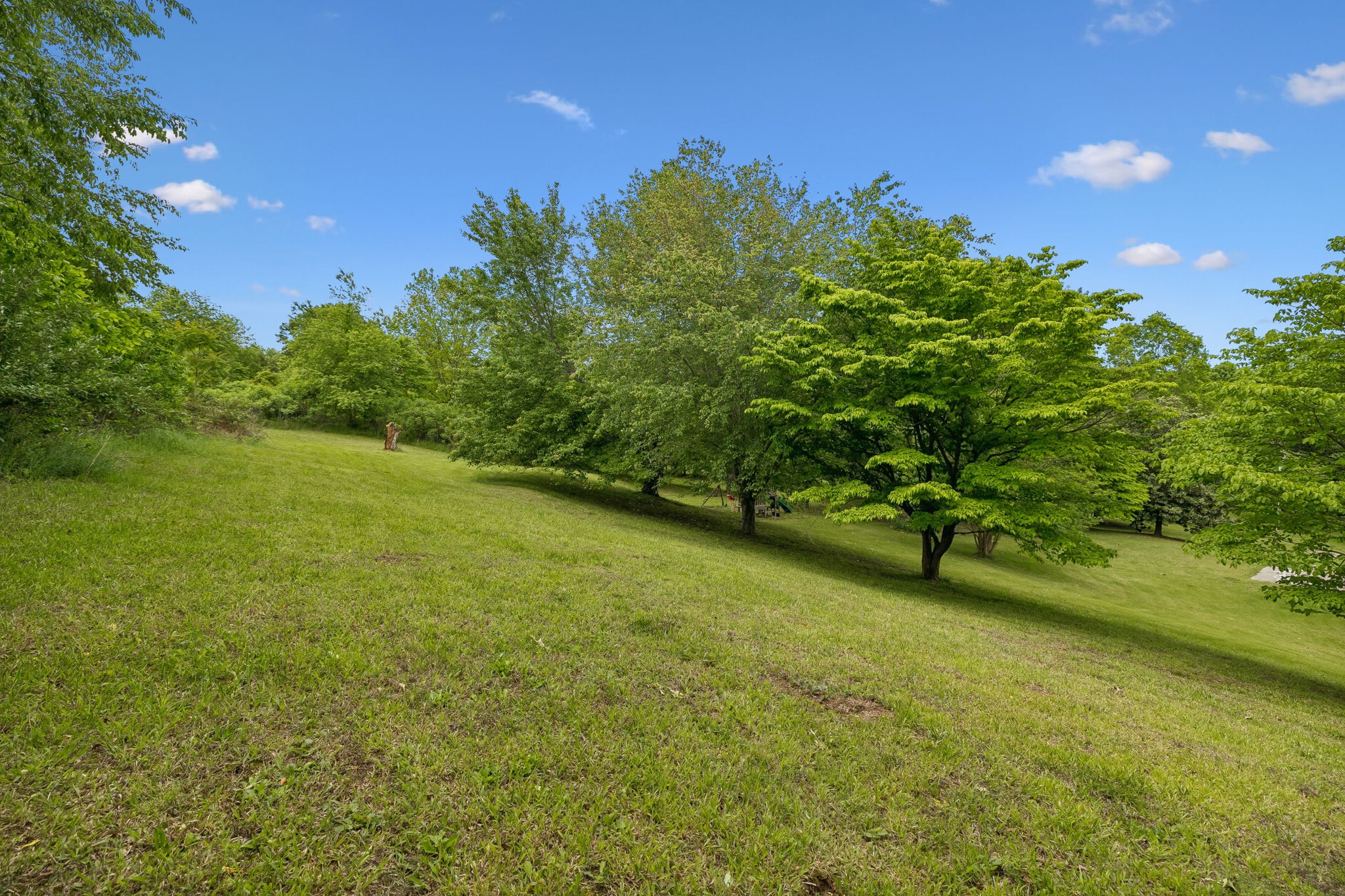 1915 Greenwood Road Charlotte, TN 37036 - Photo 45 of 60 a backyard of a house with lots of green space