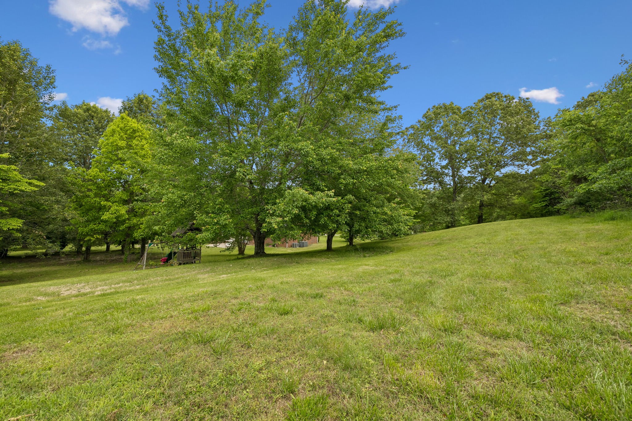1915 Greenwood Road Charlotte, TN 37036 - Photo 46 of 60 a view of a field with trees in the background