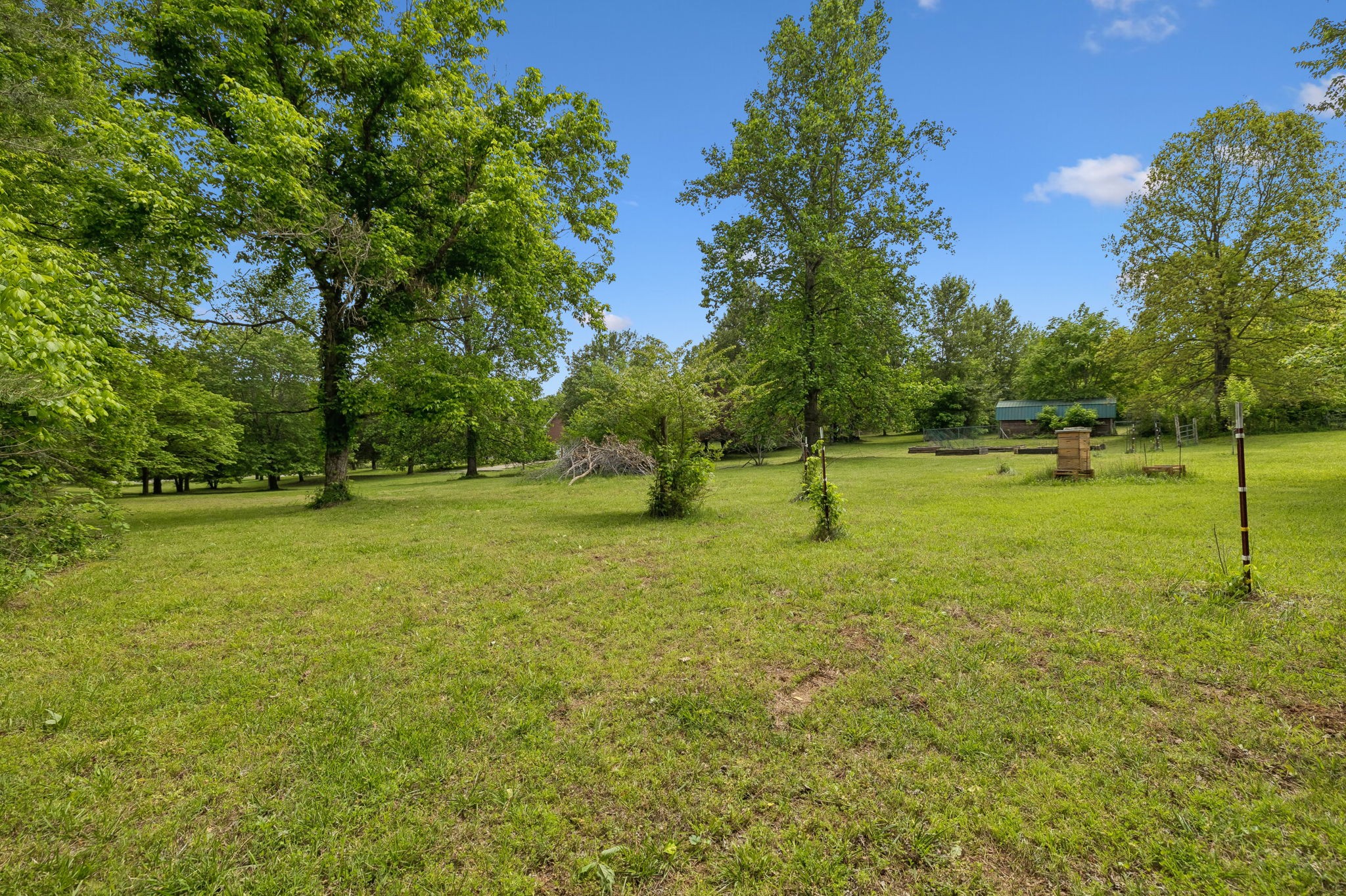 1915 Greenwood Road Charlotte, TN 37036 - Photo 48 of 60 a view of a park