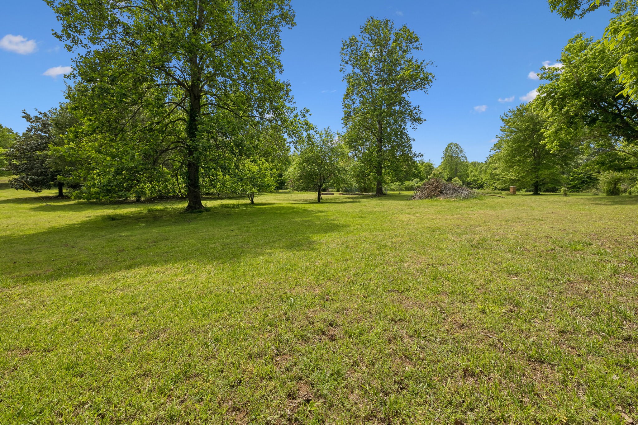 1915 Greenwood Road Charlotte, TN 37036 - Photo 49 of 60 a view of a big yard with a trees