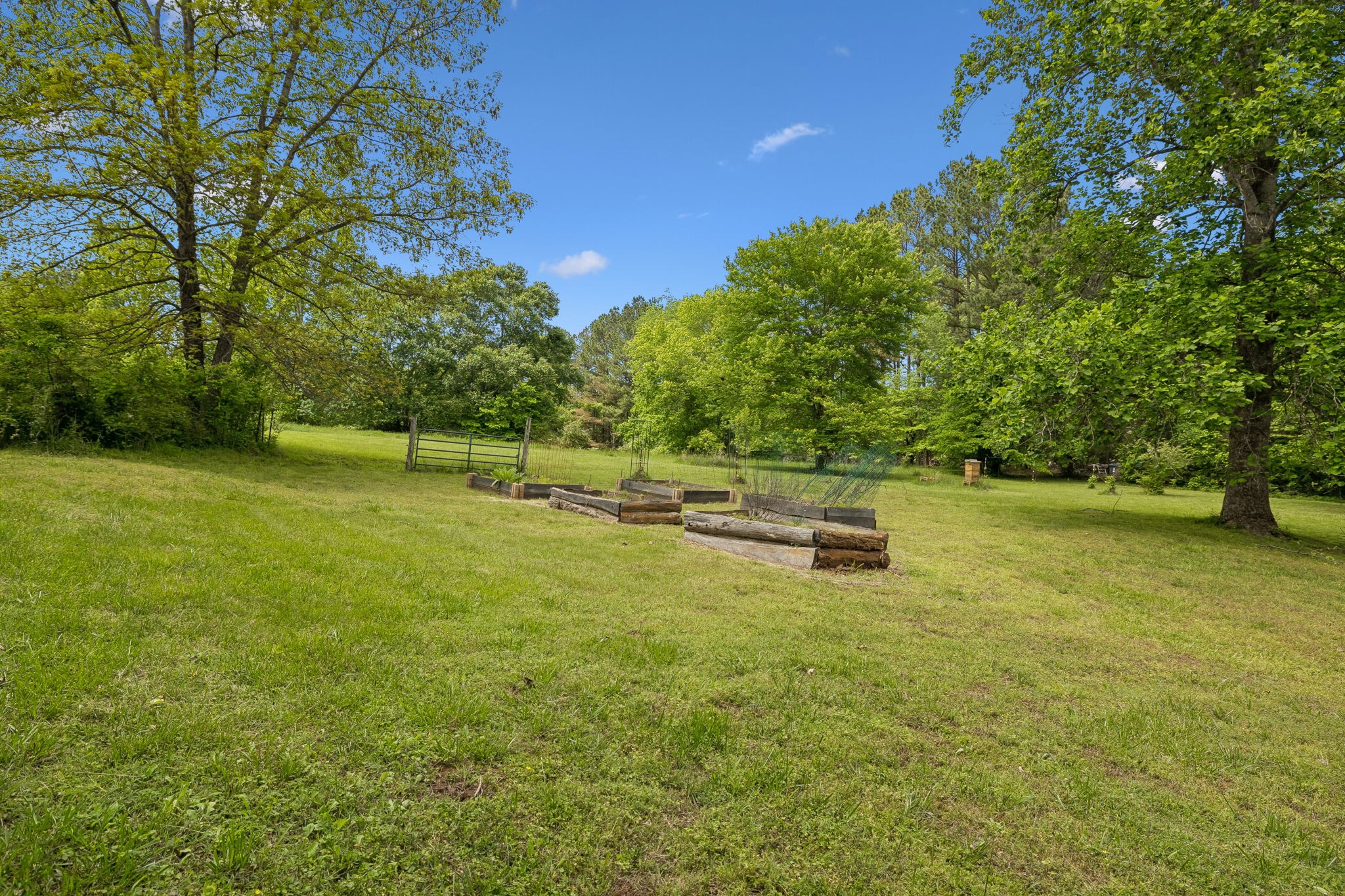 1915 Greenwood Road Charlotte, TN 37036 - Photo 52 of 60 a view of a lake with a bench and trees