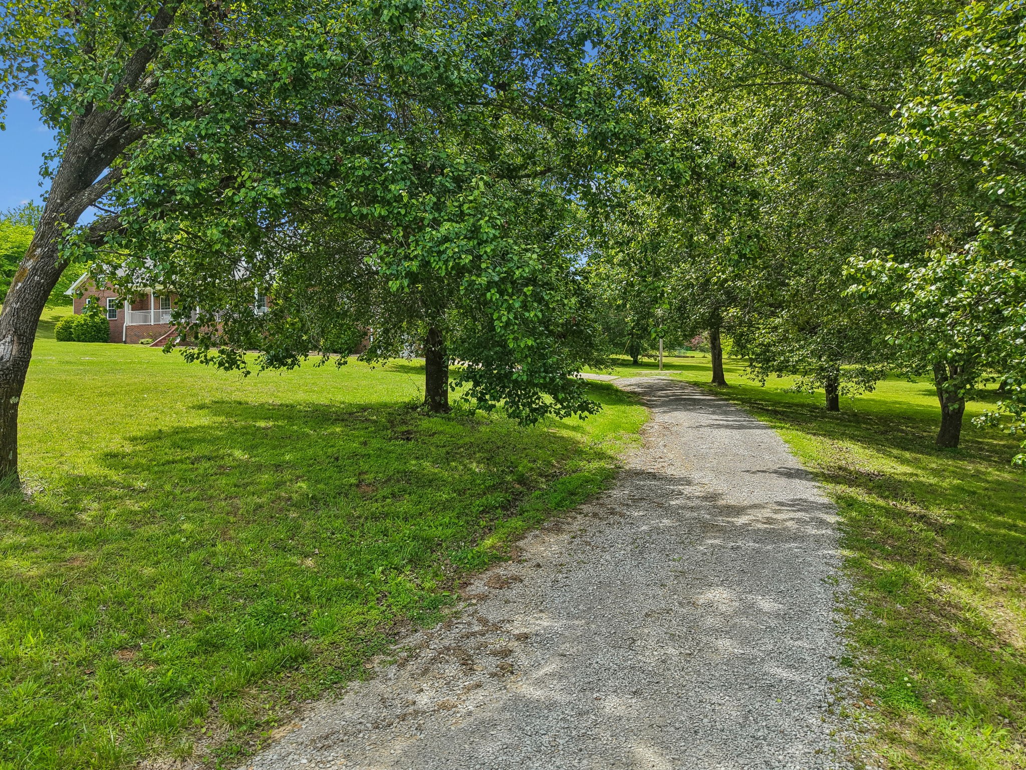 1915 Greenwood Road Charlotte, TN 37036 - Photo 56 of 60 a view of a park with large trees