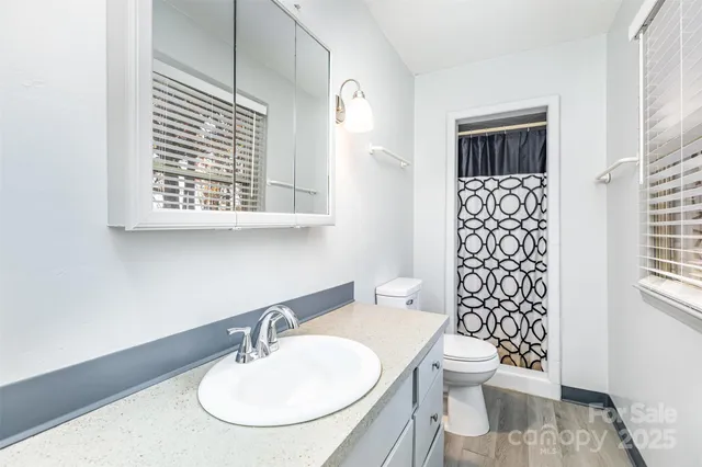 a bathroom with a sink a toilet and a mirror