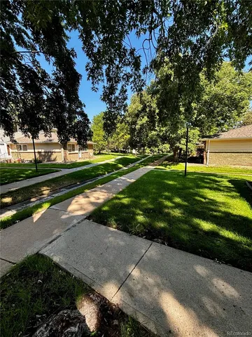 a view of a park with large trees