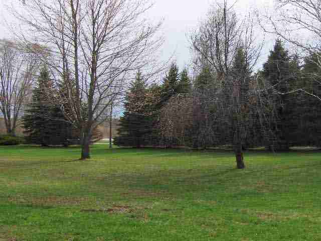 4370 Harris Road Fort Gratiot, MI 48059 - Photo 8 of 9 31055537-7.JPG