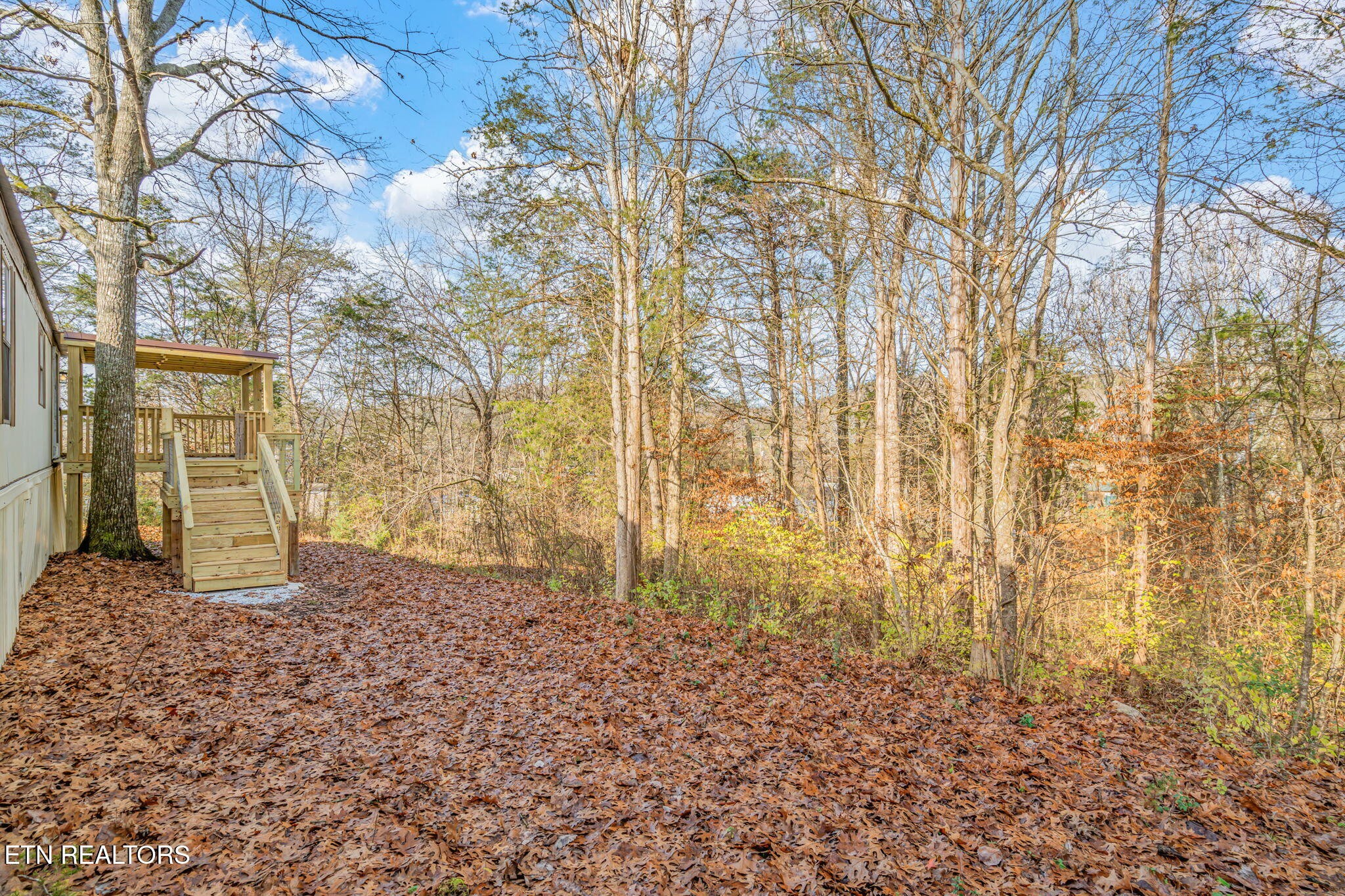 817 Vanessa Way Heiskell, TN 37754 - Photo 28 of 31 a view of a pathway with a house in the background