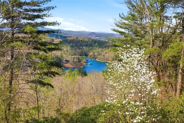 $980,000 | 234 Bay View Drive, Salem, SC 29676
