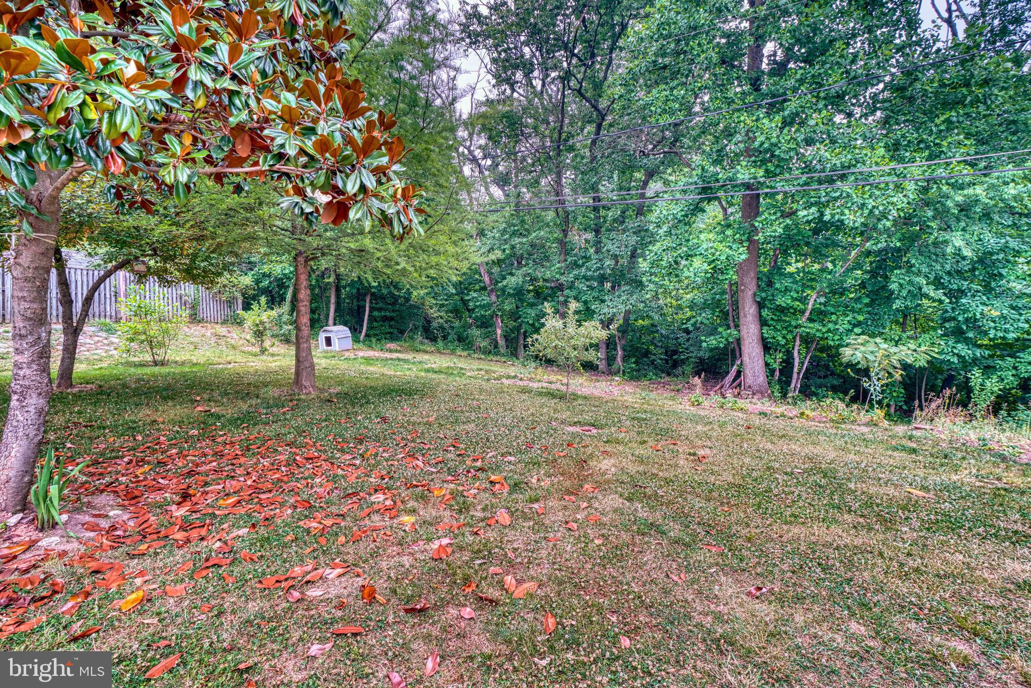 8411 Rocky Mt Road Rosedale, MD 21237 - Photo 8 of 48