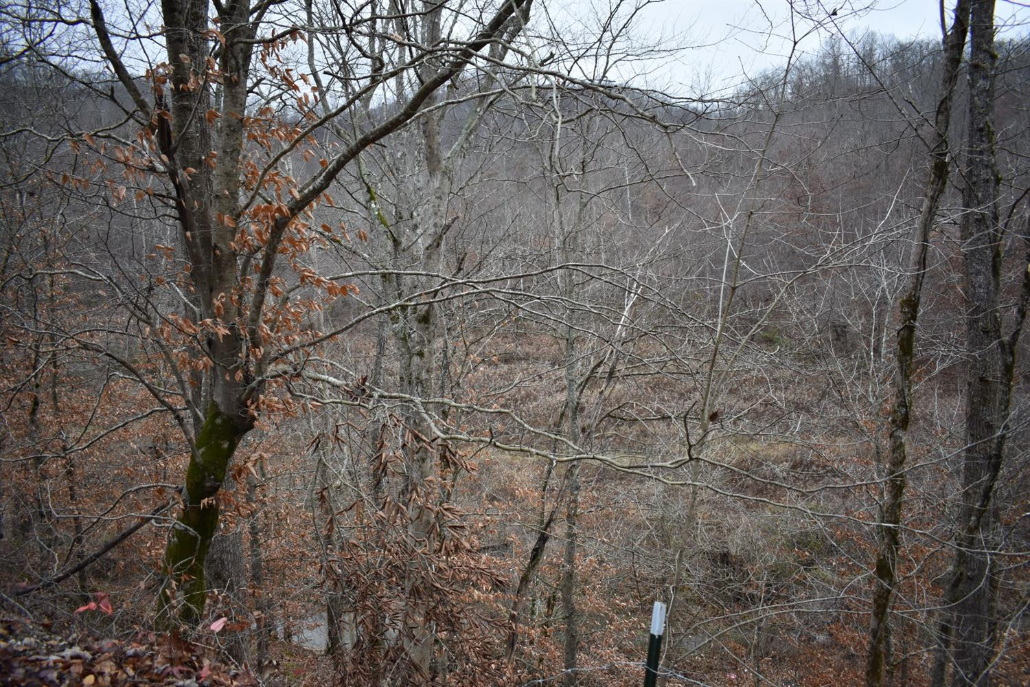 9999 East Crawfish Road Manchester, KY 40962 - Photo 21 of 52 Photo 21