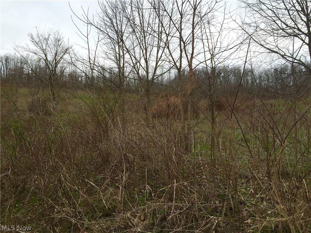 2 Canal Road Dover, OH 44622 - Photo 8 of 9 more views