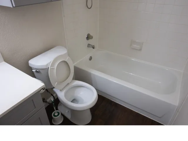 a bathroom with a sink a toilet and bathtub