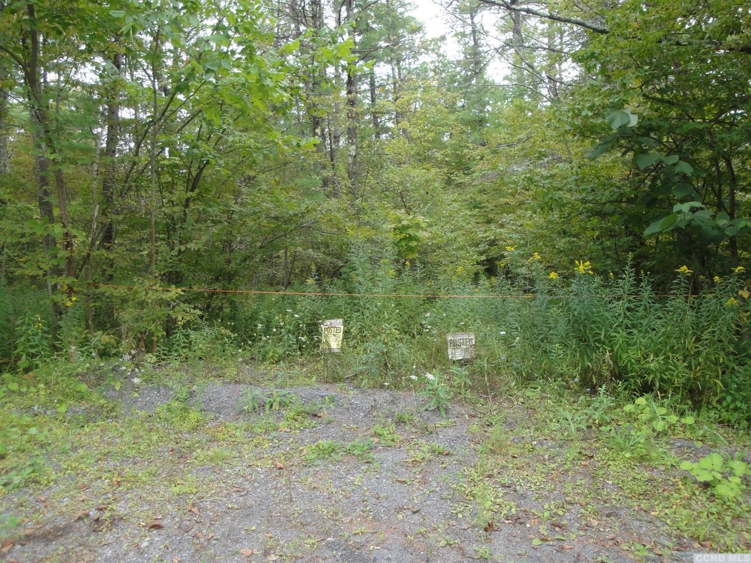 0 Johnny Cake Hill Road Westerlo, NY 12193 - Photo 12 of 22 Photo 12