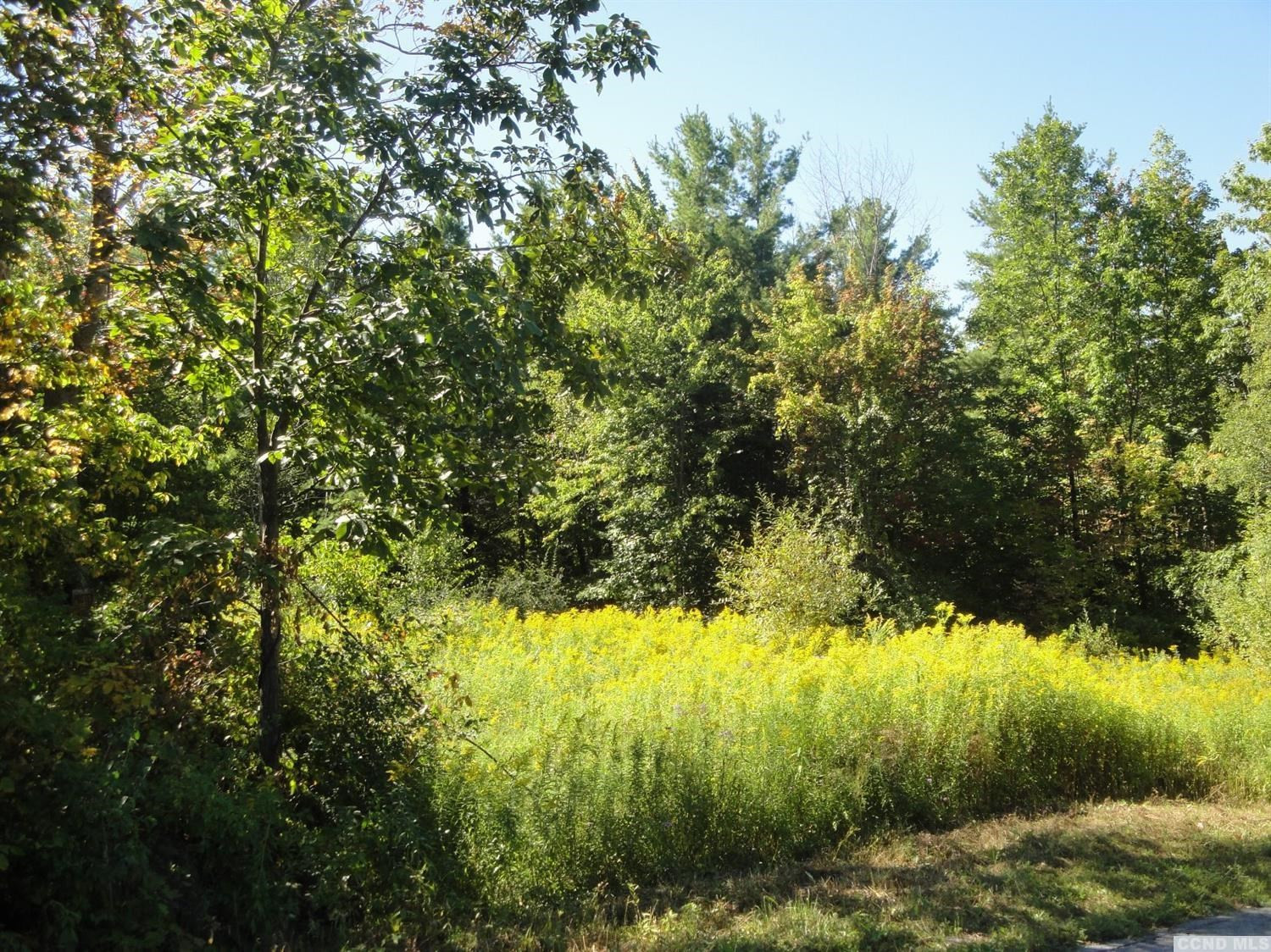 0 Johnny Cake Hill Road Westerlo, NY 12193 - Photo 3 of 22 Photo 3
