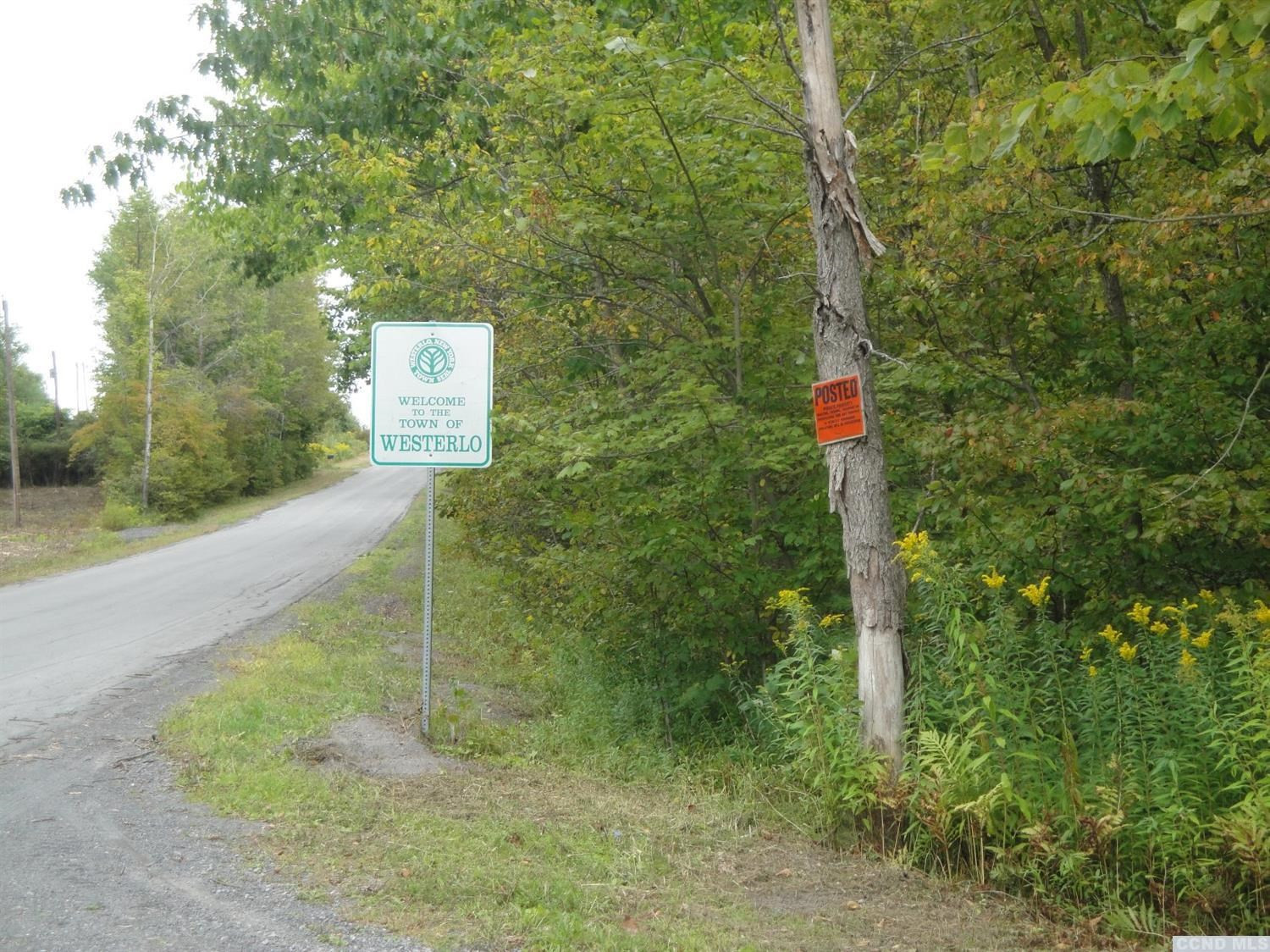 0 Johnny Cake Hill Road Westerlo, NY 12193 - Photo 5 of 22 Photo 5