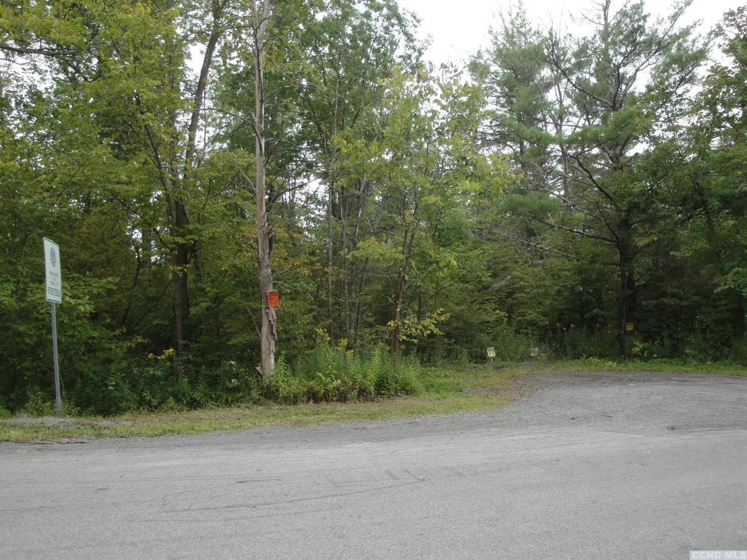 0 Johnny Cake Hill Road Westerlo, NY 12193 - Photo 7 of 22 Photo 7
