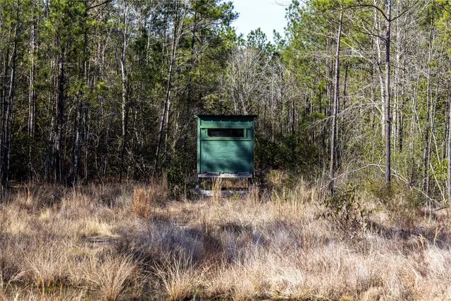 a view of outdoor space and trees