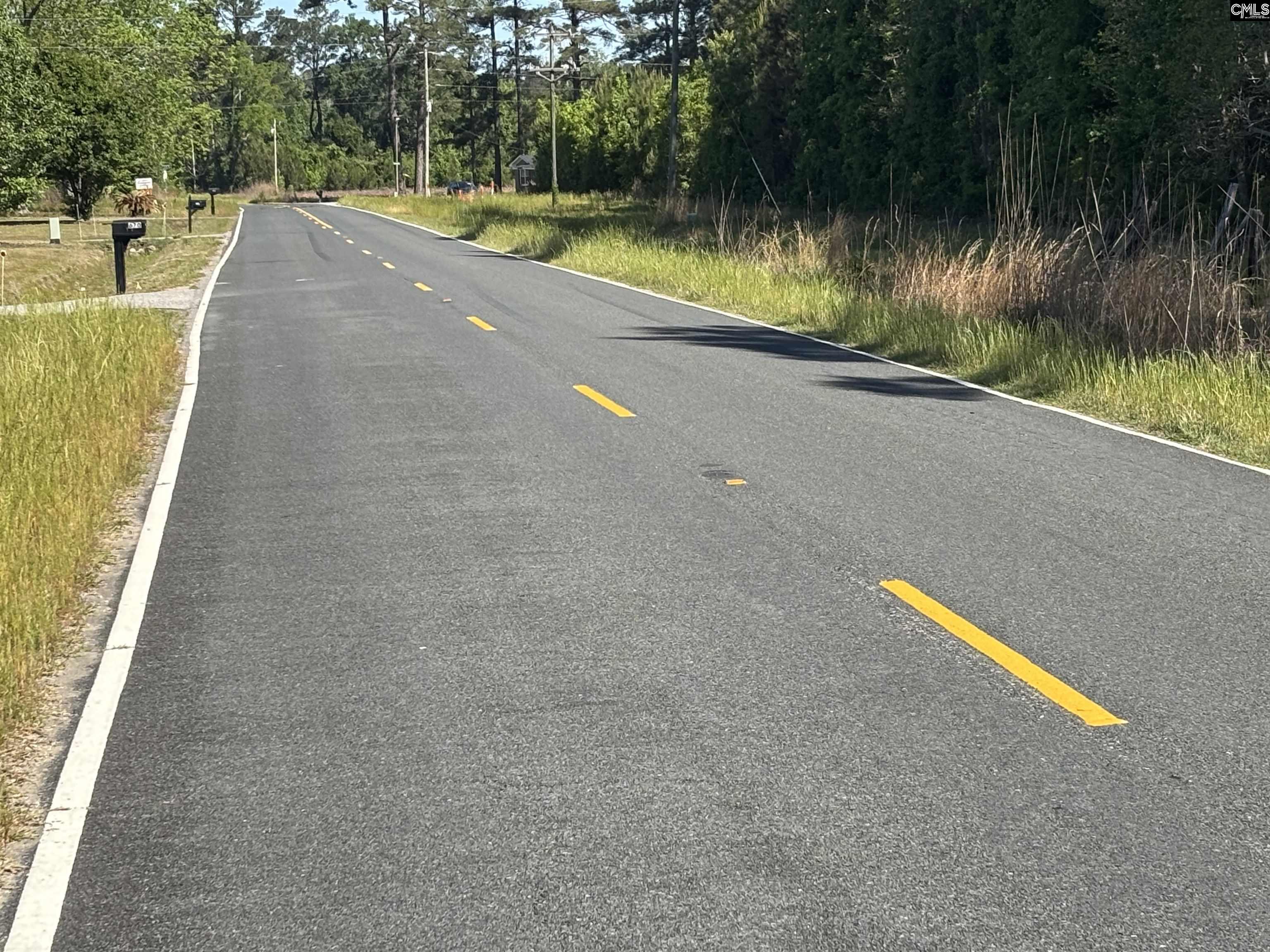0 Second Texas Road St. George, SC 29477 - Photo 2 of 5
