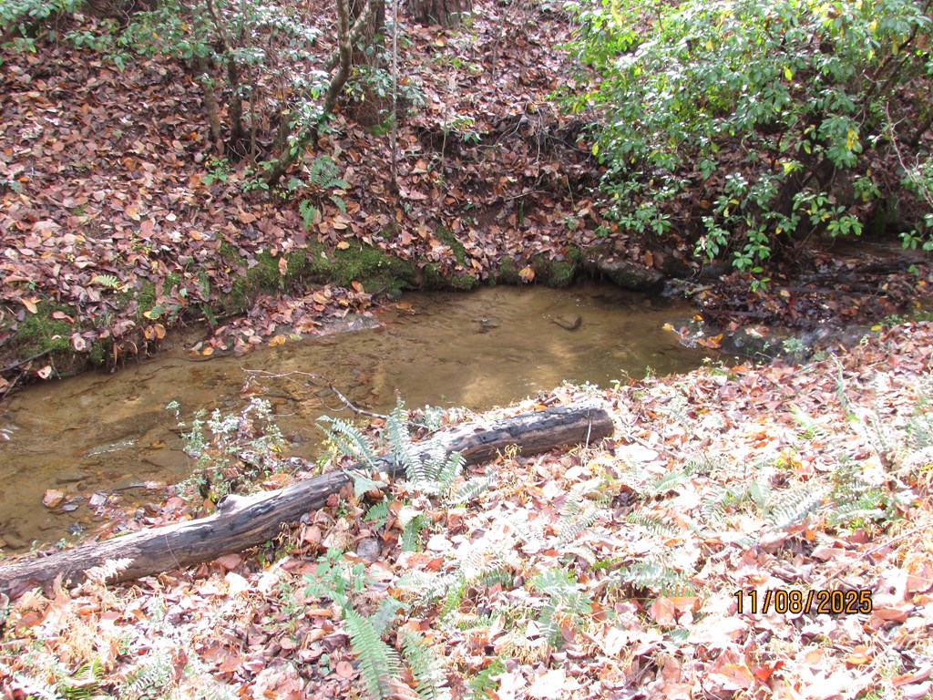 5 Wikle Road Hayesville, NC 28904 - Photo 14 of 19