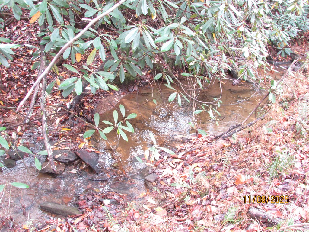 5 Wikle Road Hayesville, NC 28904 - Photo 15 of 19