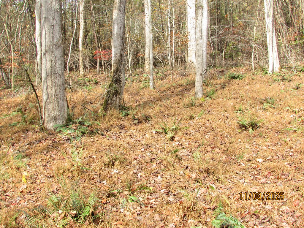 5 Wikle Road Hayesville, NC 28904 - Photo 18 of 19