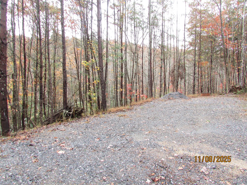 5 Wikle Road Hayesville, NC 28904 - Photo 3 of 19