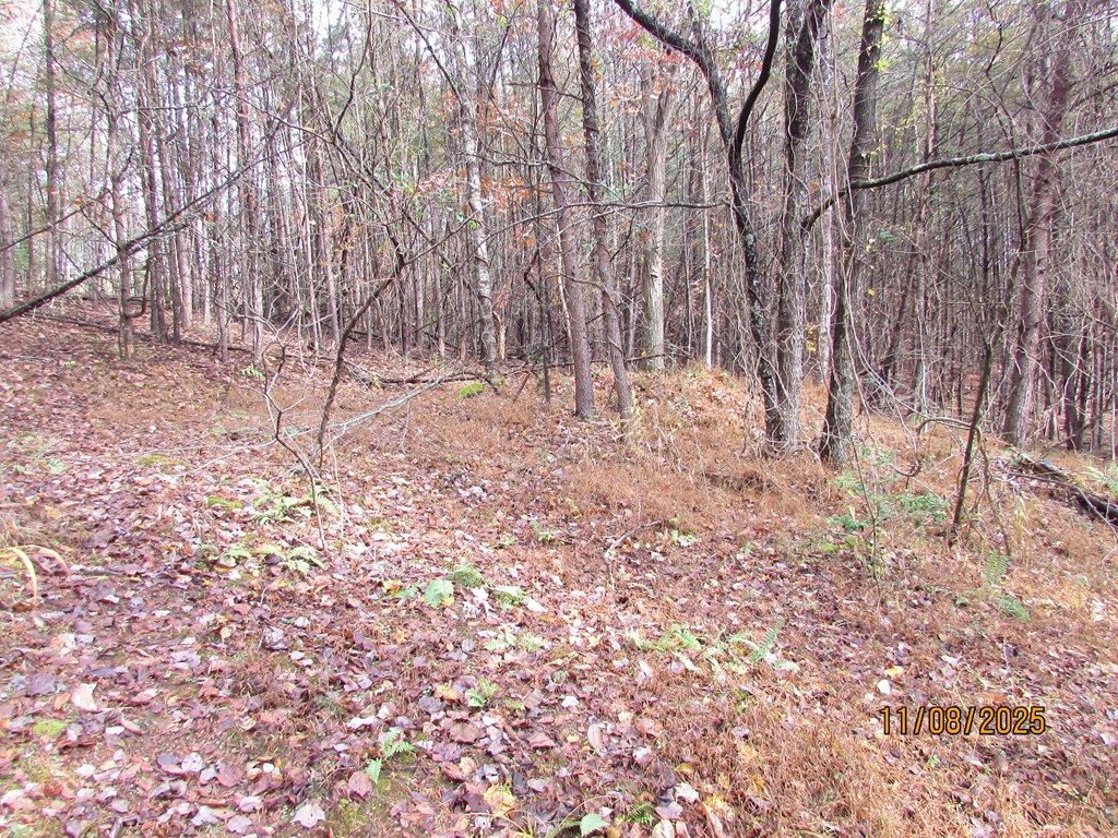 5 Wikle Road Hayesville, NC 28904 - Photo 7 of 19