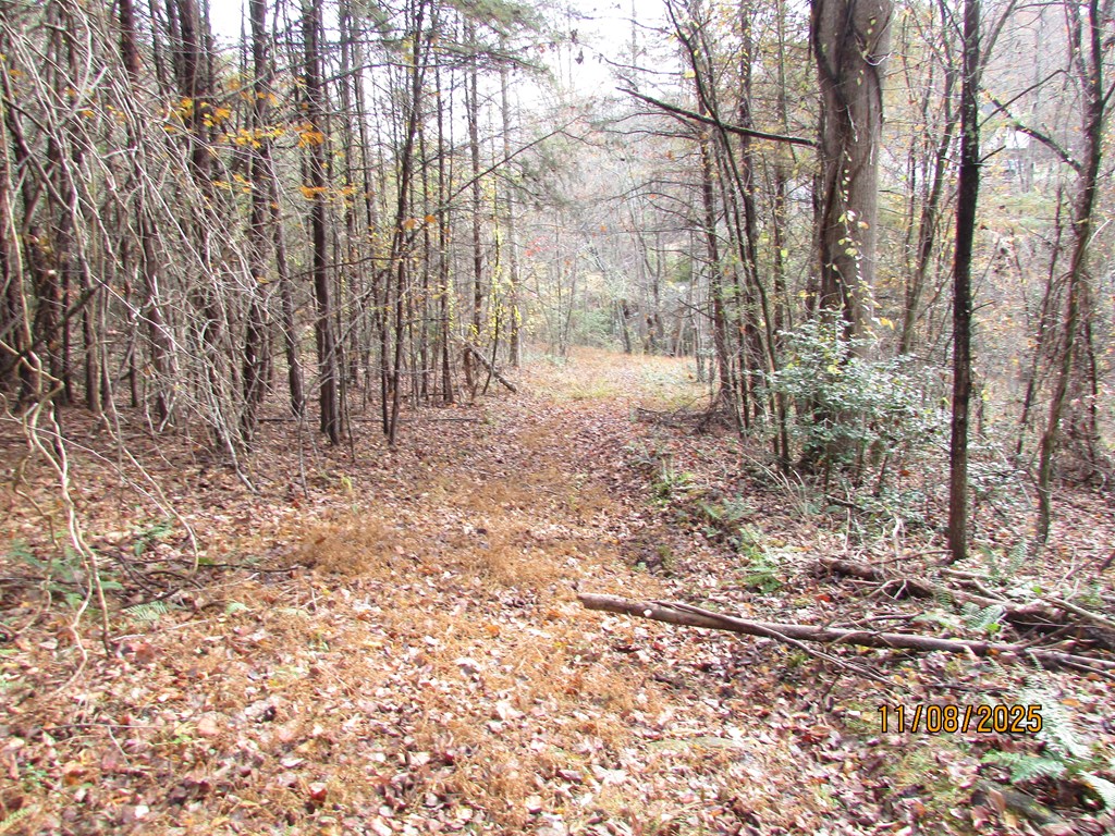 5 Wikle Road Hayesville, NC 28904 - Photo 8 of 19