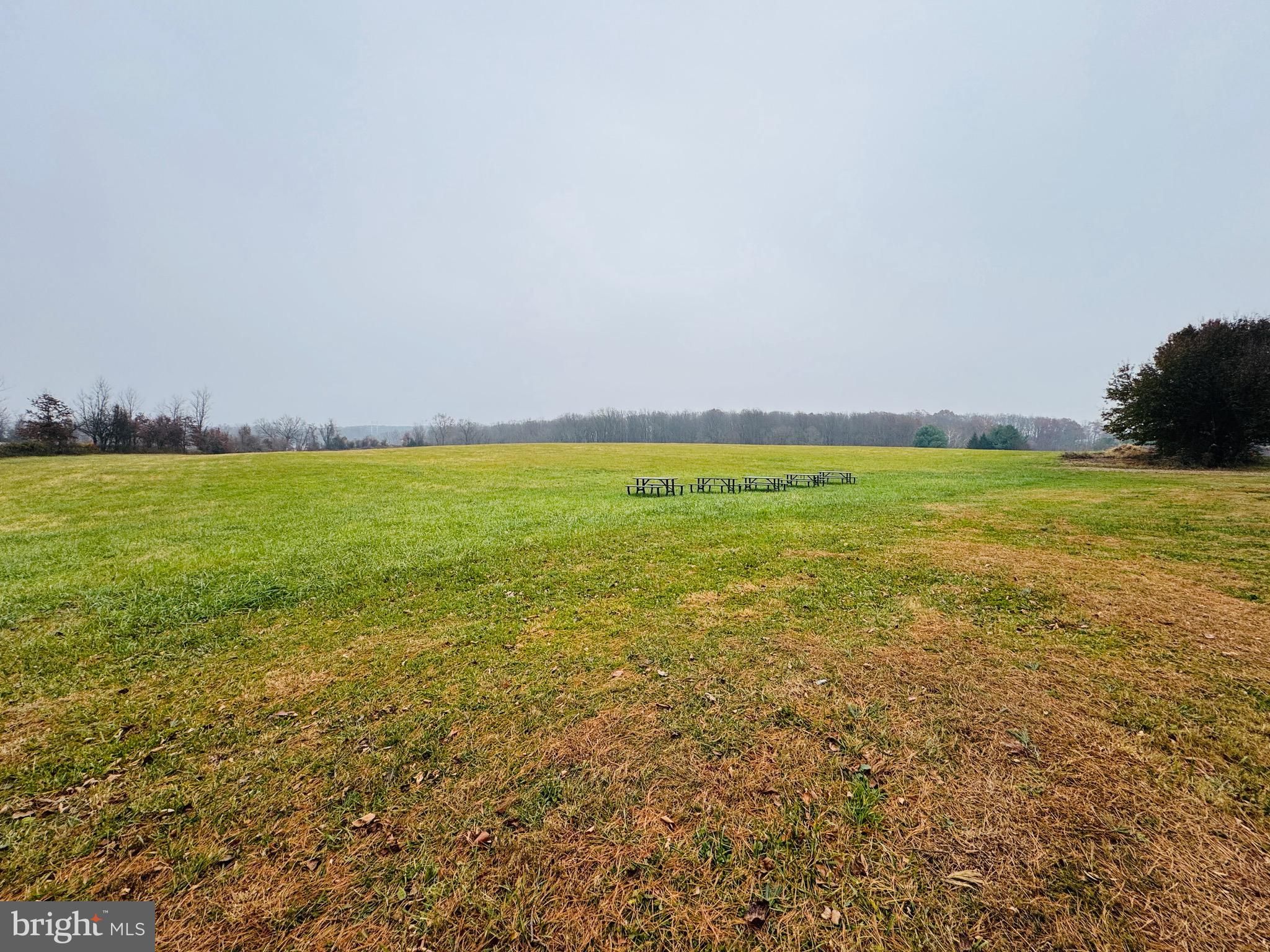 7115 Damascus Road Gaithersburg, MD 20882 - Photo 20 of 28 Gallery Image 20