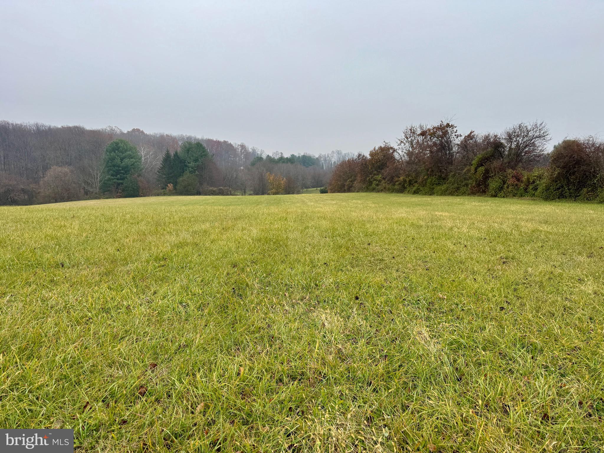 7115 Damascus Road Gaithersburg, MD 20882 - Photo 23 of 28 Gallery Image 23