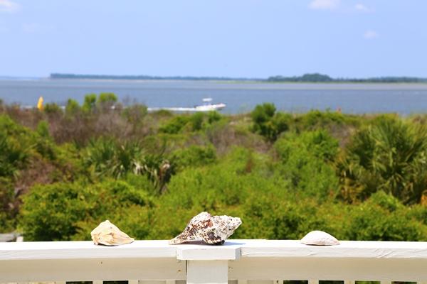 3604 Yacht Club Road Edisto Beach, SC 29438 - Photo 45 of 58 IMG_9981