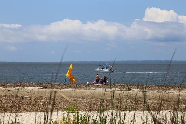 3604 Yacht Club Road Edisto Beach, SC 29438 - Photo 49 of 58 IMG_0018