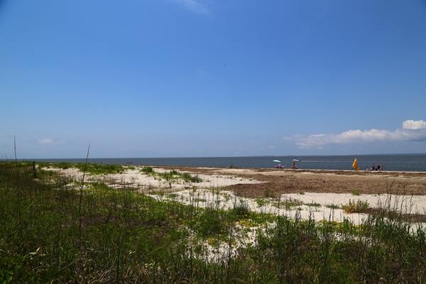 3604 Yacht Club Road Edisto Beach, SC 29438 - Photo 53 of 58 IMG_0020