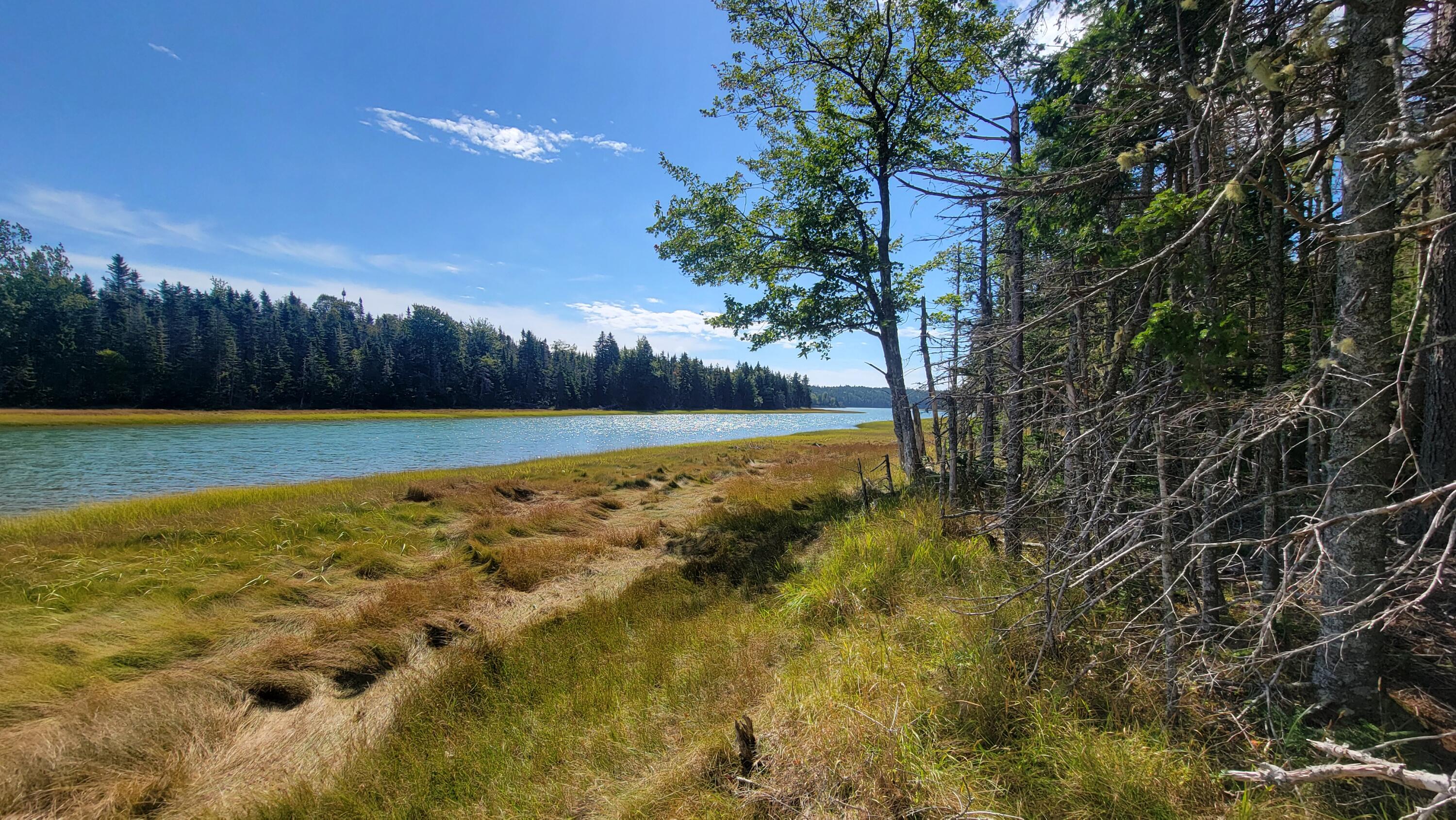 Lot 1-5 Evergreen Point Road Jonesboro, ME 04648 - Photo 27 of 33 20250905_104959