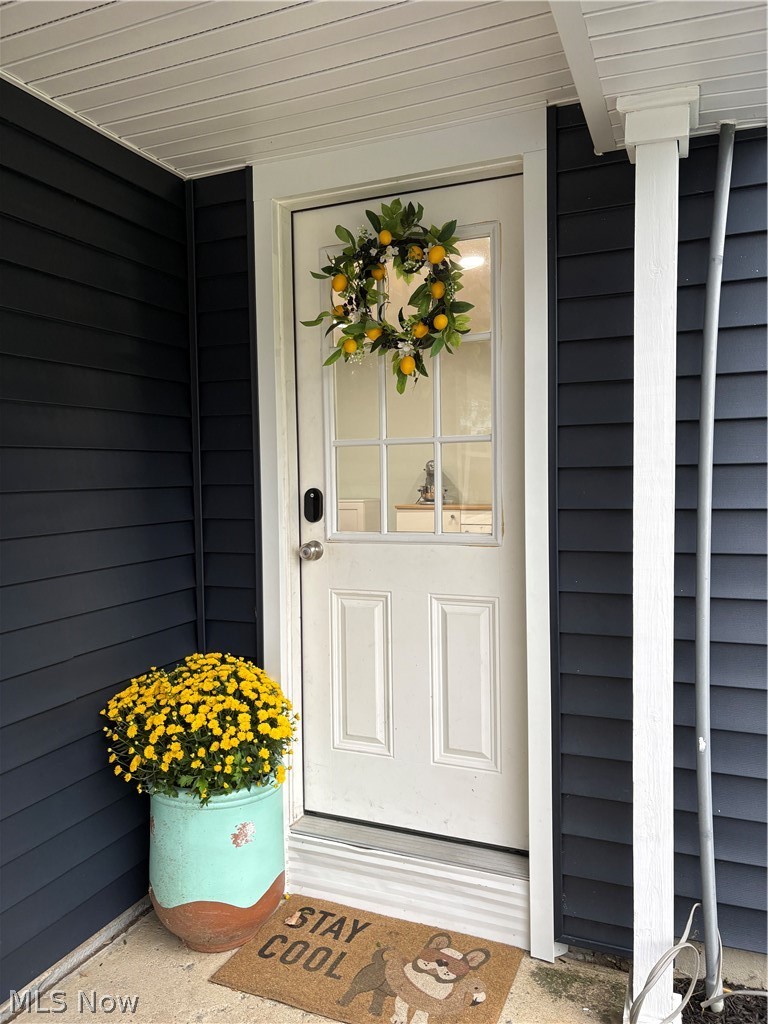 8264 Cedar Road Chesterland, OH 44026 - Photo 27 of 34 Close up of the side door!